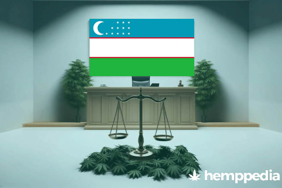 Ist Cannabis in Usbekistan legal? – Update 2024