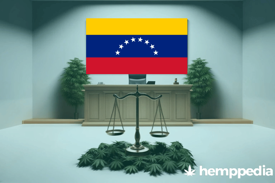 Ist Cannabis in Venezuela legal? – Update 2024