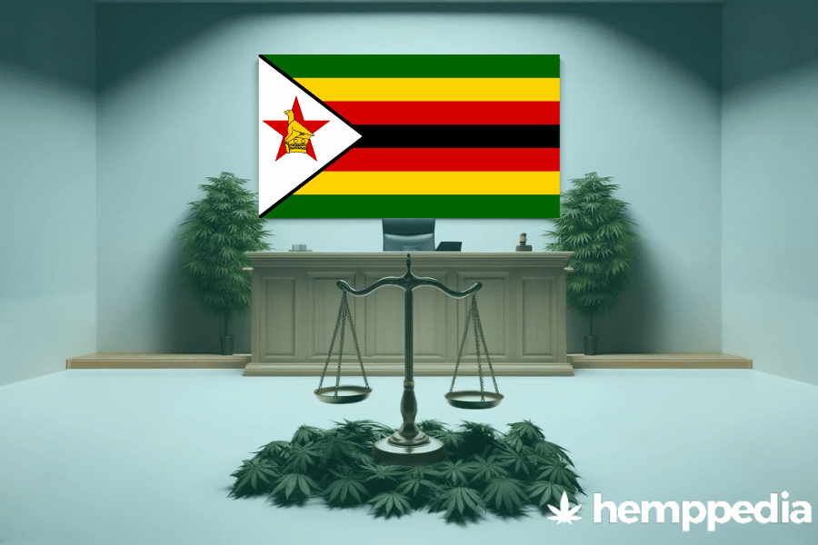 Ist Cannabis in Simbabwe legal? – Update 2024