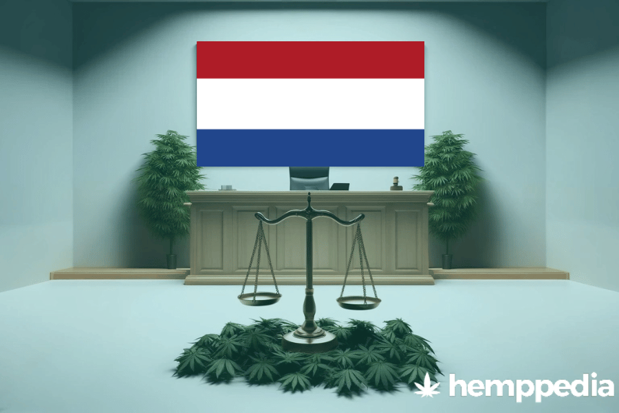 Ist Cannabis in den Niederlanden legal? – Update 2024